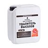 Удалитель высолов Prosept Soltcleaner 5л